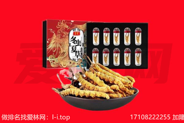 成都市郫都回收虫草.jpg